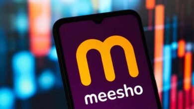 Meesho के तगड़े नतीजों के बाद क्यों डर गए बड़े निवेशक और एक्सपर्ट
